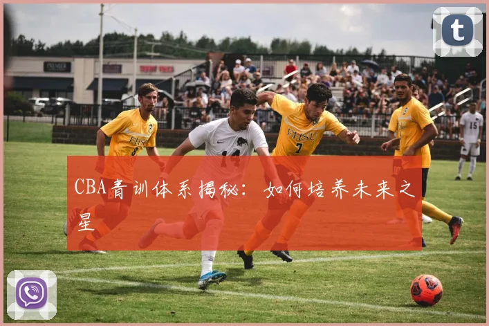 CBA青训体系揭秘:如何培养未来之星